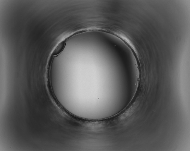 X0000086991093200704161501