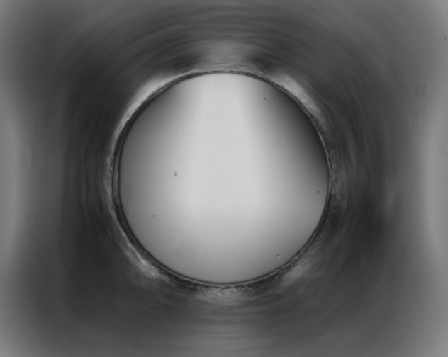 X0000086991094200704161501