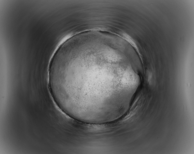 X0000086991095200704161501