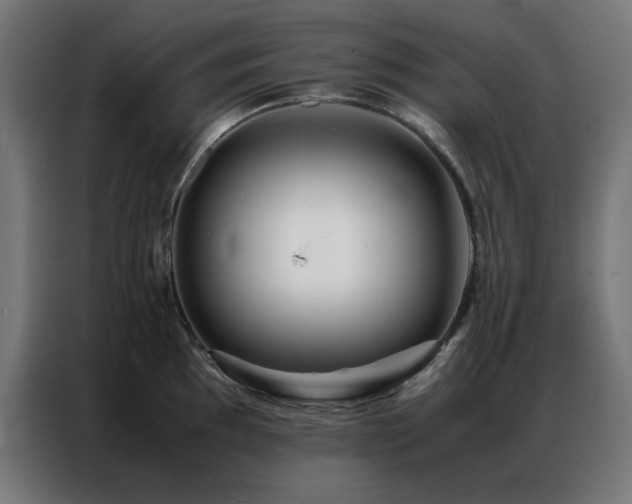 X0000086991097200704161501