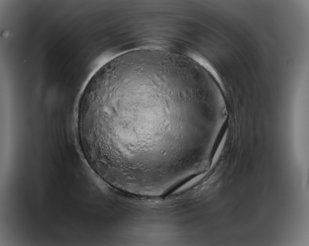 X0000086991099200704161501