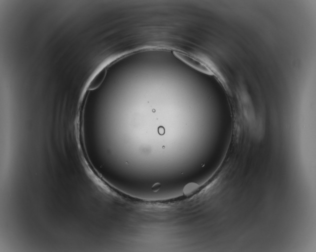 X0000086991100200704161501