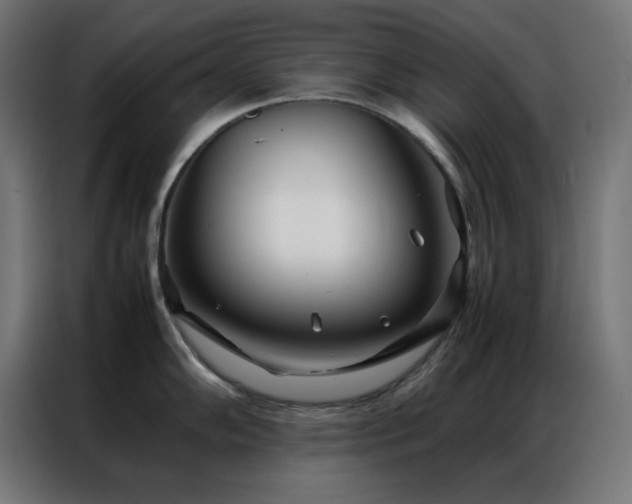 X0000086991102200704161501