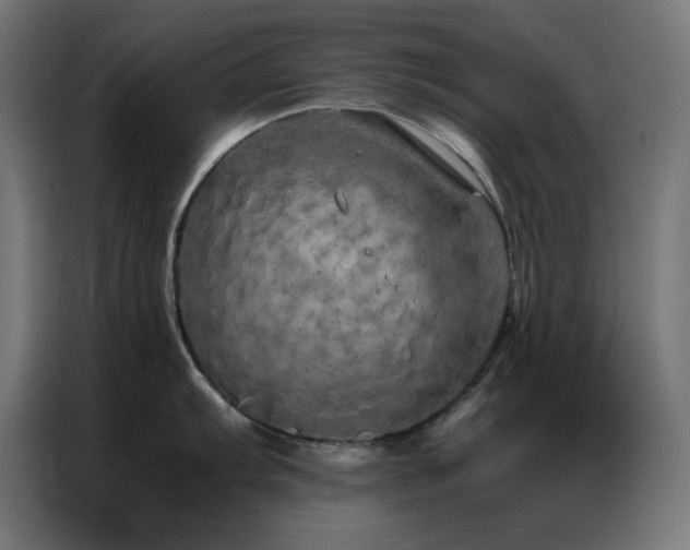 X0000086991103200704161501