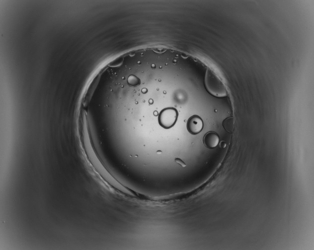 X0000086991104200704161501