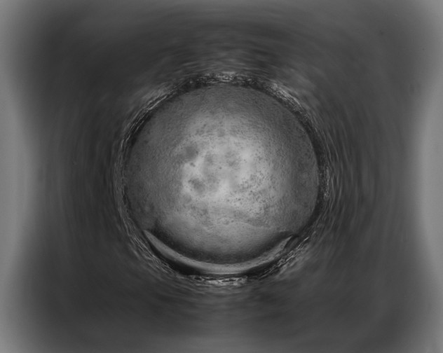 X0000086991105200704161501