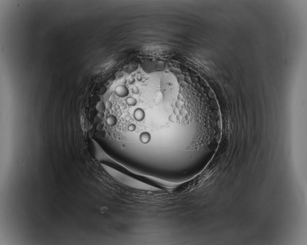 X0000086991106200704161501