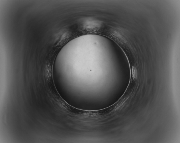 X0000086991107200704161501