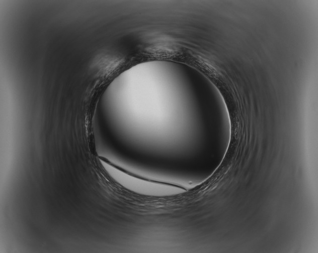 X0000086991108200704161501