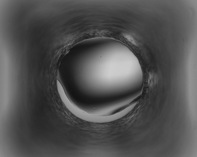 X0000086991109200704161501