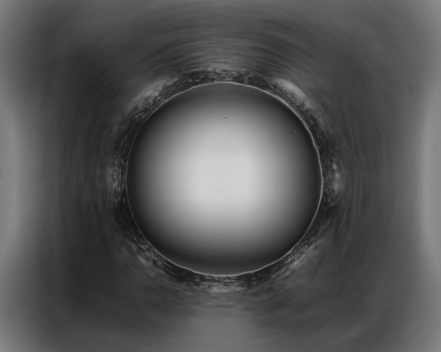 X0000086991110200704161501