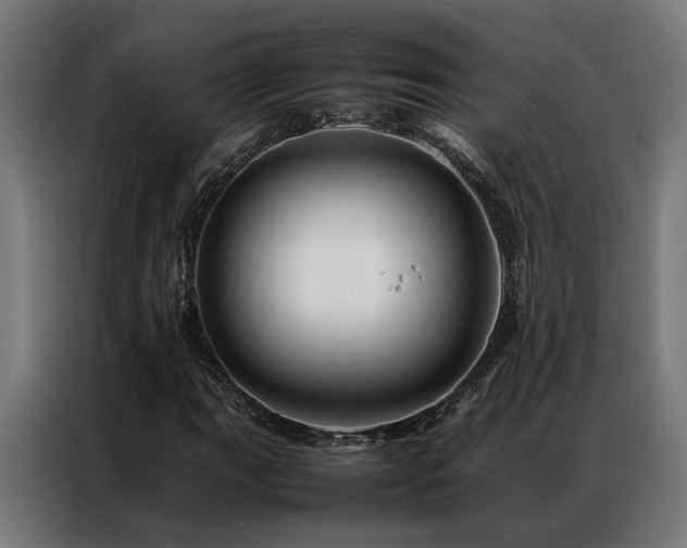 X0000086991111200704161501