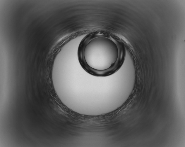 X0000086991112200704161501