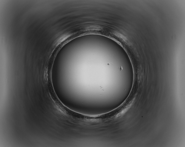 X0000086991113200704161501