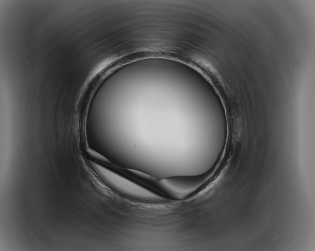 X0000086991114200704161501