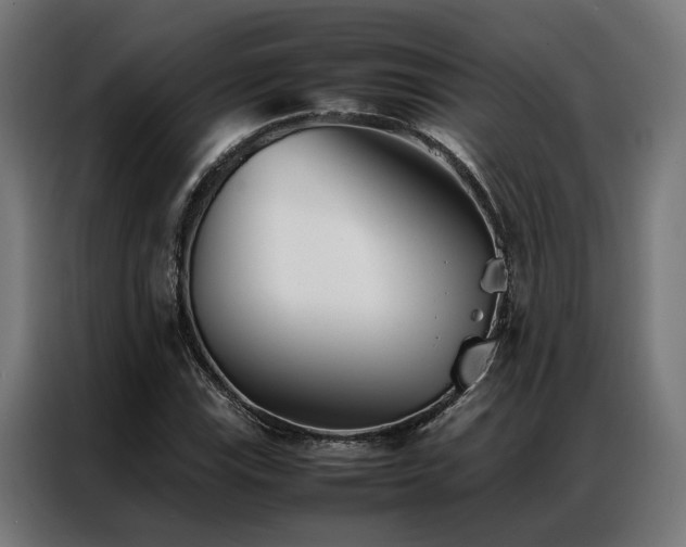 X0000086991115200704161501