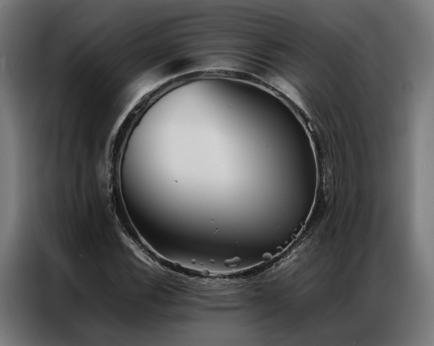 X0000086991116200704161501