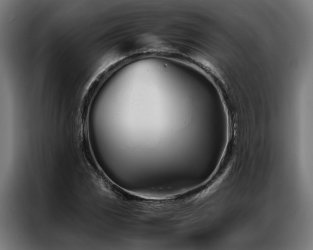 X0000086991117200704161501