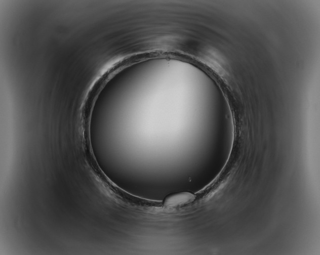 X0000086991118200704161501