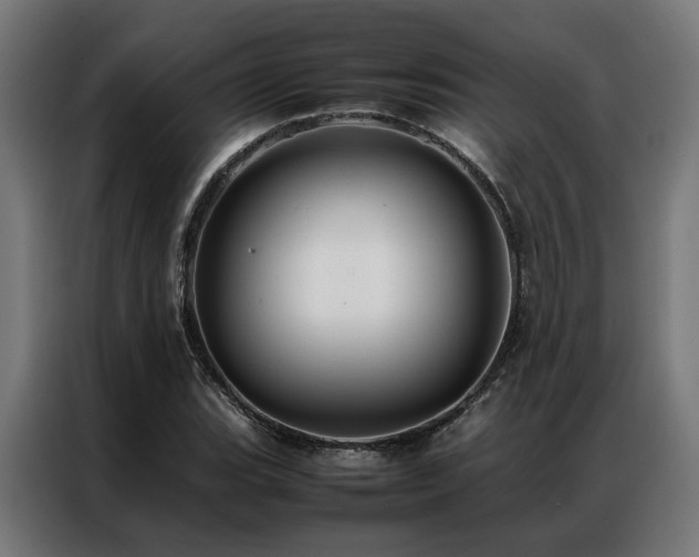 X0000086991119200704161501