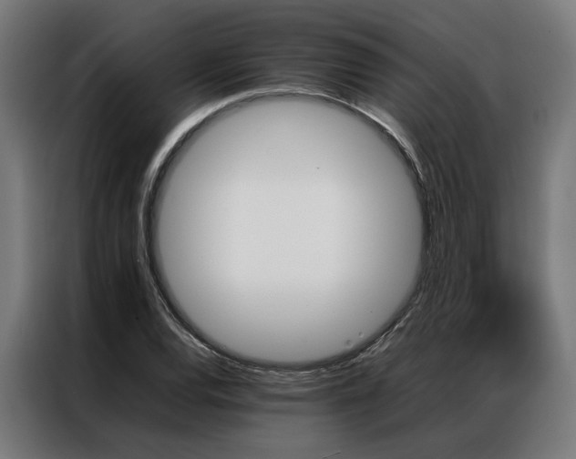 X0000086991120200704161501