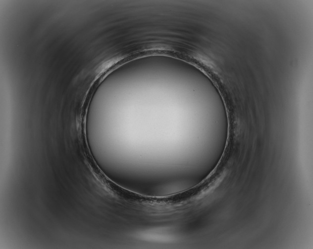 X0000086991121200704161501