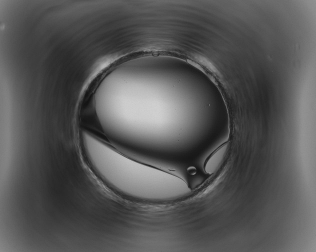 X0000086991122200704161501