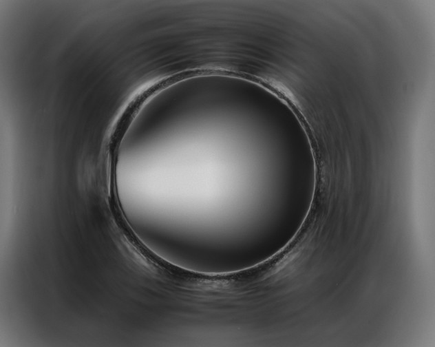 X0000086991123200704161501