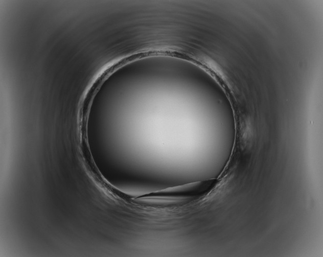 X0000086991124200704161501