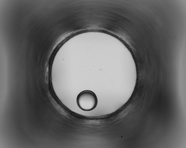 X0000086991126200704161501