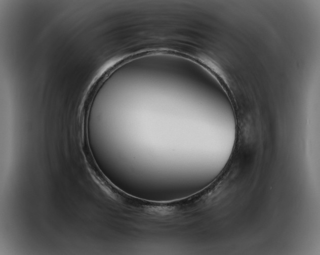 X0000086991127200704161501