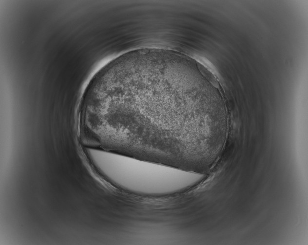 X0000086991128200704161501