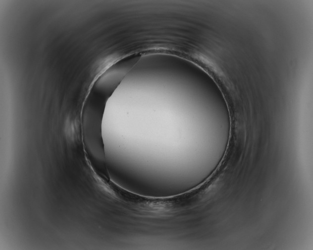 X0000086991129200704161501