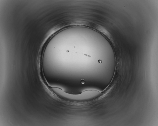 X0000086991130200704161501