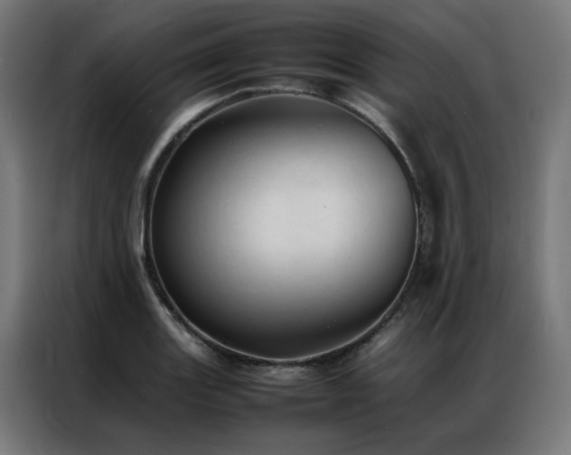 X0000086991131200704161501