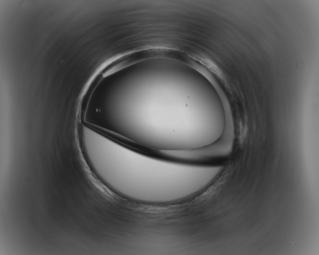 X0000086991132200704161501