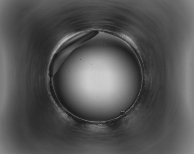 X0000086991133200704161501