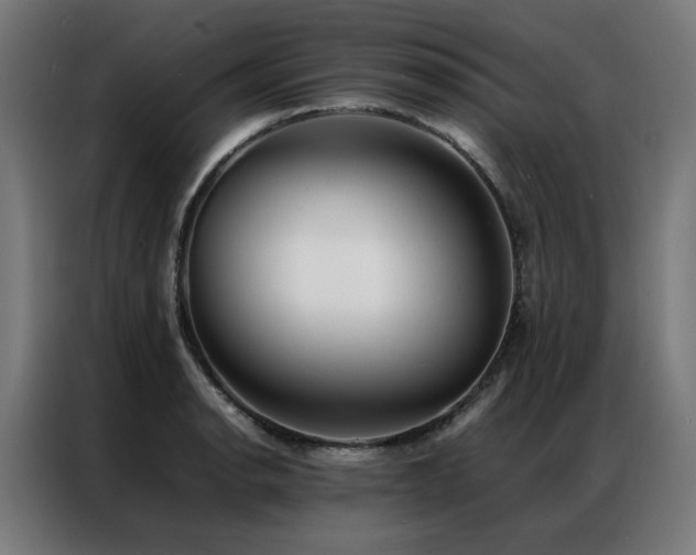 X0000086991134200704161501