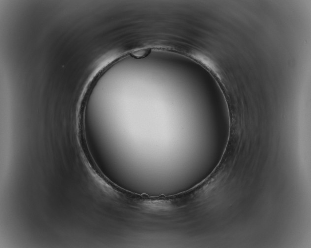 X0000086991135200704161501
