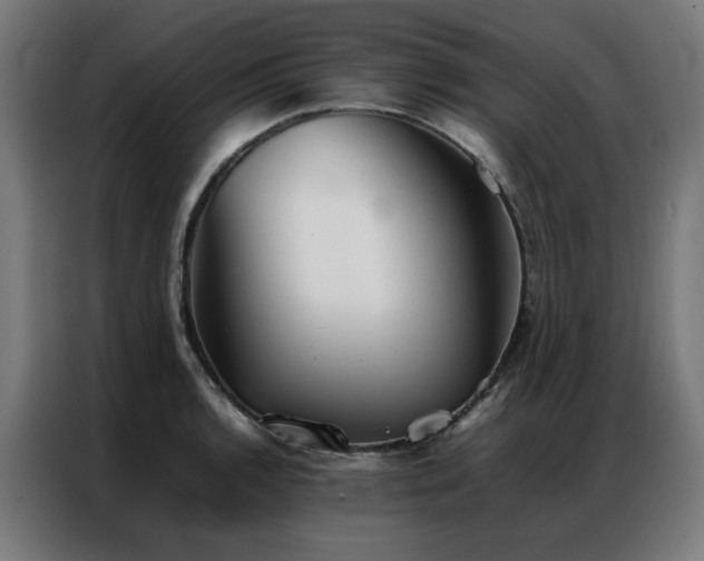 X0000086991136200704161501