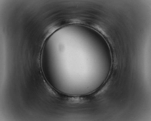 X0000086991137200704161501