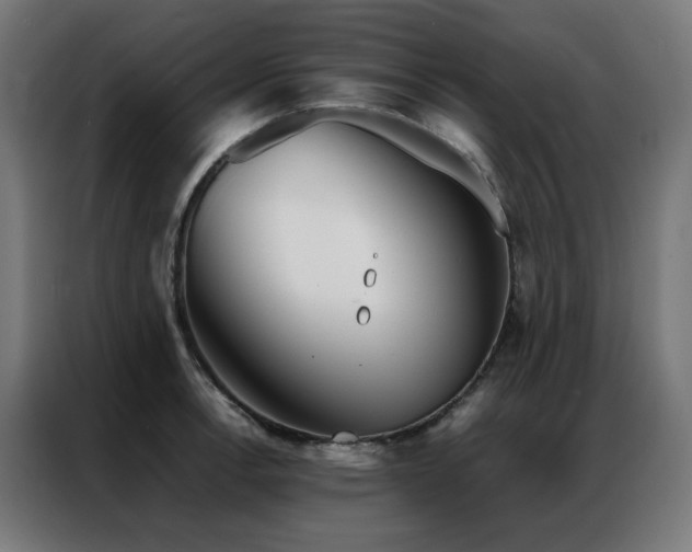 X0000086991138200704161501