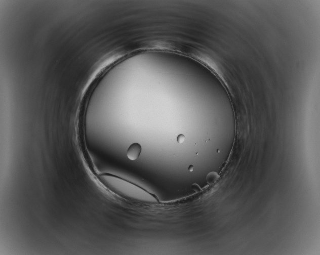 X0000086991139200704161501