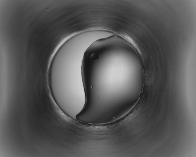 X0000086991140200704161501