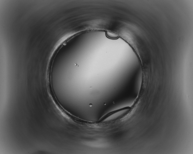 X0000086991141200704161501