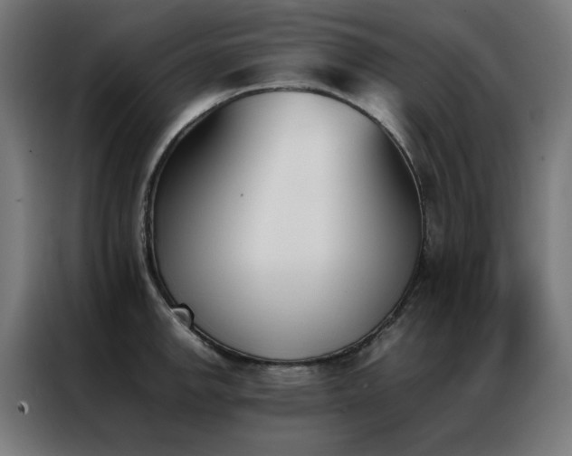 X0000086991142200704161501
