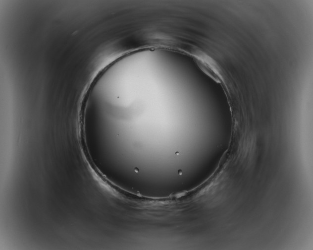 X0000086991143200704161501