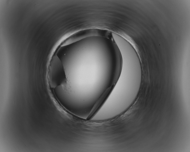 X0000086991144200704161501