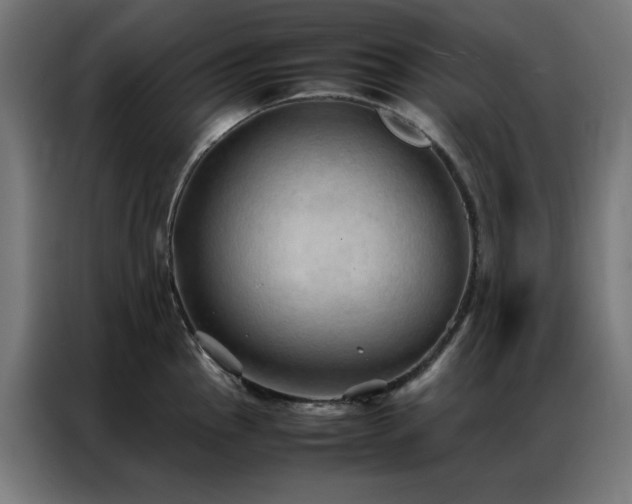 X0000086991145200704161501