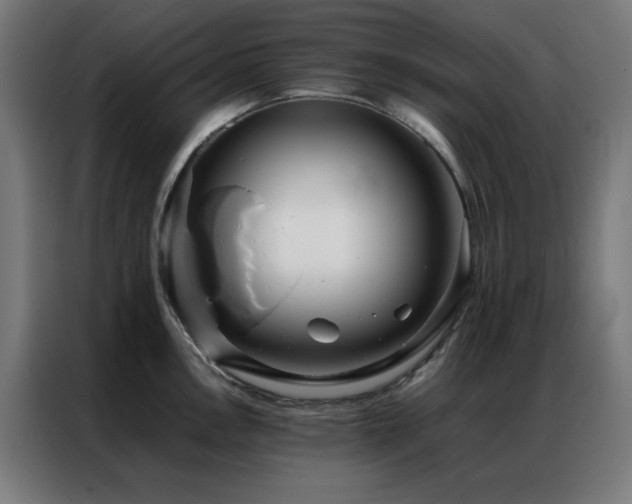 X0000086991146200704161501